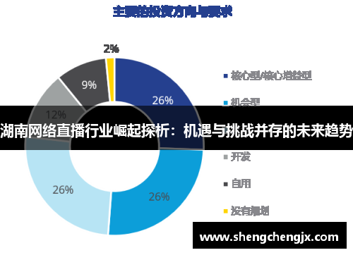 湖南网络直播行业崛起探析：机遇与挑战并存的未来趋势