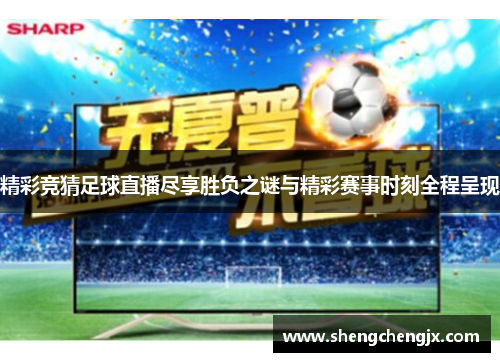 精彩竞猜足球直播尽享胜负之谜与精彩赛事时刻全程呈现