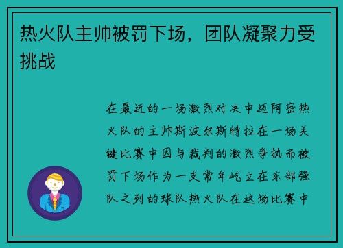 热火队主帅被罚下场，团队凝聚力受挑战